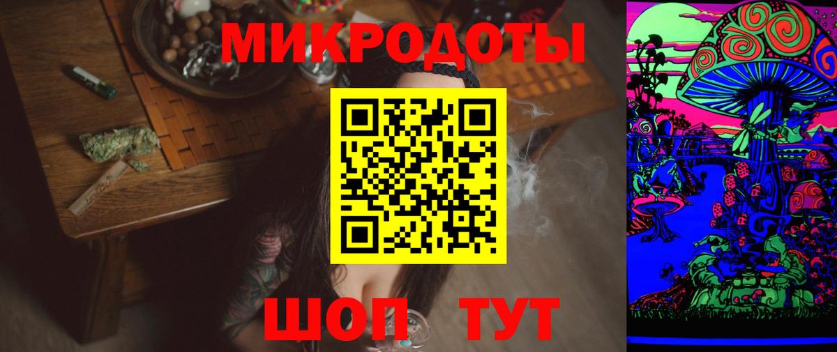 Псилоцибиновые грибы Psilocybe Ялта