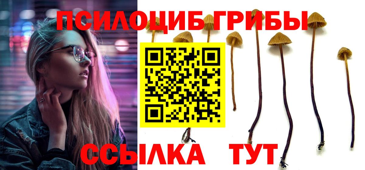 Галлюциногенные грибы Magic Shrooms  Вход с VPN  магазин продажи   Ялта 